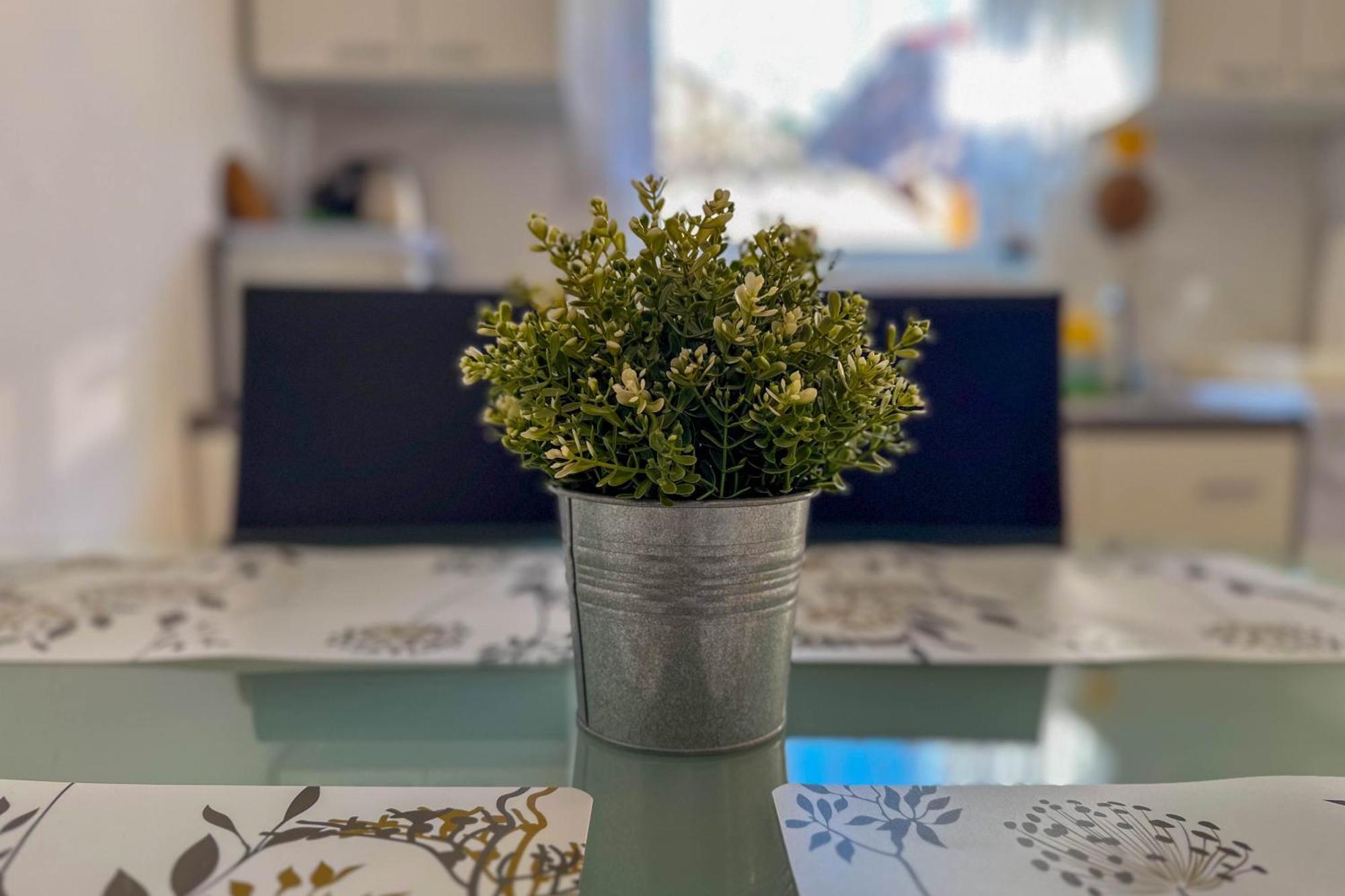 Apartmani Trupeljak Mandre Luaran gambar